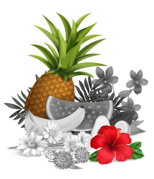 Fruits