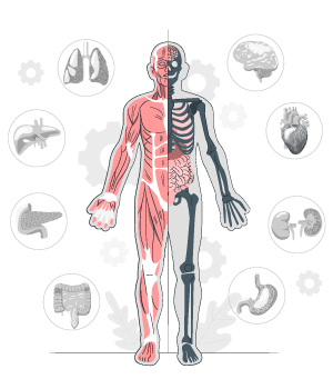 Parts of Body